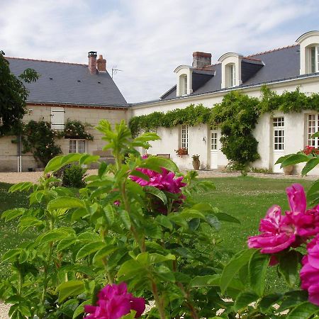 La Jarillais Saumur Exterior foto